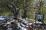 La segnaletica del "sentiero natura" presente sul sentiero Faiè - Alpe Ompio